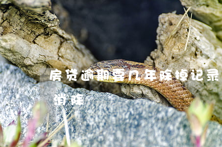 房贷逾期要几年除掉记录(房贷逾期记录多久消除)