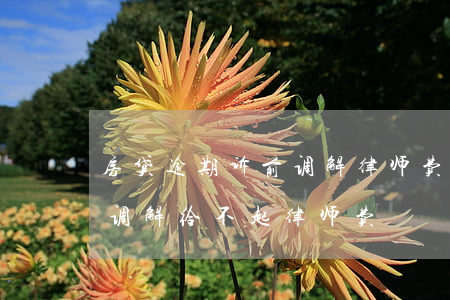 房贷逾期诉前调解,律师费（逾期房贷被起诉了调解给不起律师费）