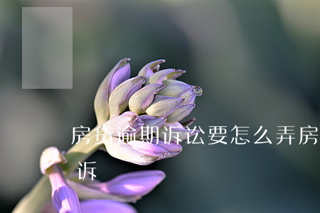 房贷逾期诉讼要怎么弄(房贷逾期起诉如何应诉)