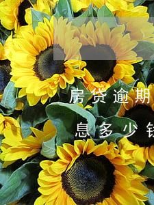 房贷逾期费用是多少金额(房贷逾期一个月罚息多少钱)