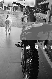 房贷逾期赔多少钱(房贷逾期违约金一般是多少)