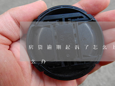 房贷逾期起诉了怎么上诉(房贷逾期起诉了怎么办)