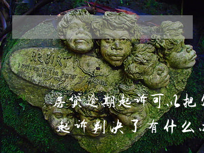 房贷逾期起诉可以把欠款还了吗(房贷逾期被起诉判决了有什么办法)