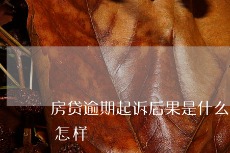 房贷逾期起诉后果是什么(房贷逾期被起诉会怎样)