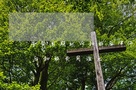 房贷逾期起诉和解后律师费-房贷逾期起诉后和解费用谁出