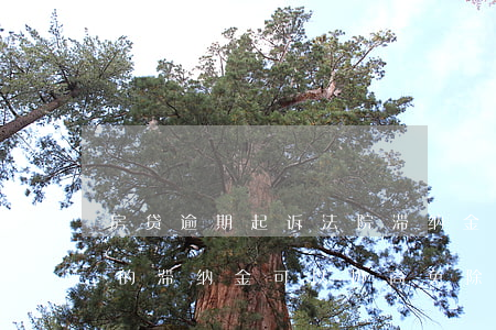 房贷逾期起诉法院滞纳金可免(贷款逾期产生的滞纳金可以协商免除吗?)