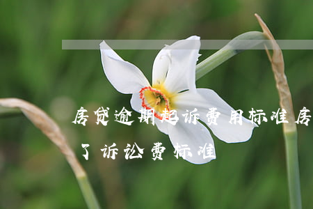 房贷逾期起诉费用标准(房屋贷款逾期被起诉了诉讼费标准)