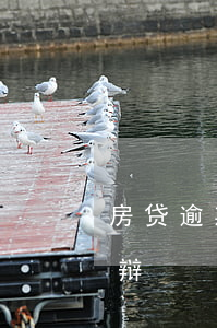 房贷逾期起诉辩护 贷款逾期银行起诉如何答辩