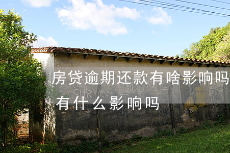 房贷逾期还款有啥影响吗(房贷总是逾期后还有什么影响吗)