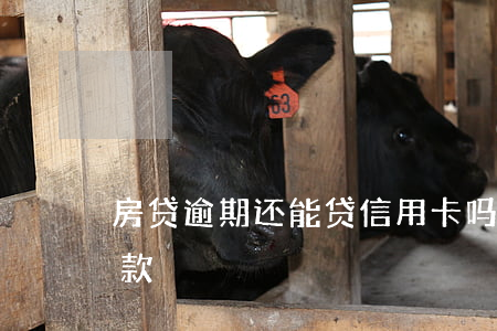 房贷逾期还能贷信用卡吗(信用卡逾期还能贷款)