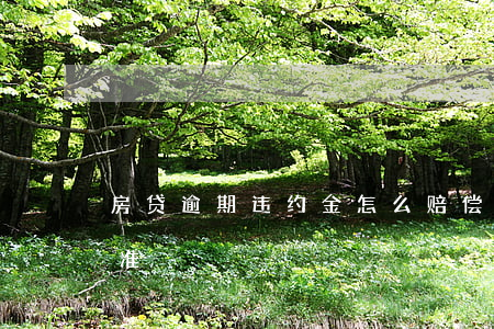 房贷逾期违约金怎么赔偿(房贷违约金赔偿标准)