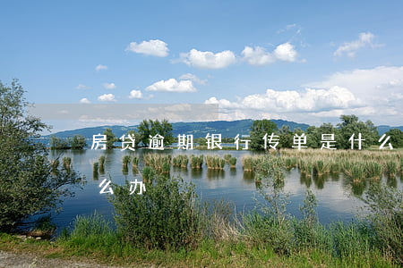 房贷逾期银行传单是什么(银行房贷款逾期怎么办)