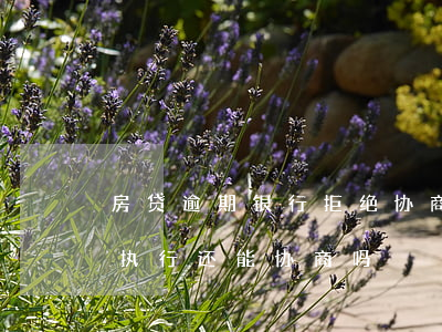 房贷逾期银行拒绝协商还款上海(房贷逾期被执行还能协商吗)