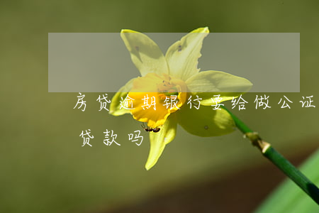 房贷逾期银行要给做公证(房产证公证后可以贷款吗)