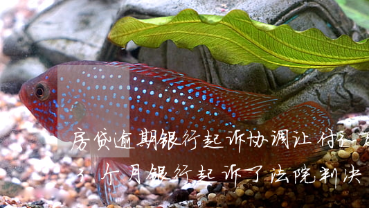 房贷逾期银行起诉协调让付3万-房贷逾期3个月银行起诉了,法院判决了还可以协商么