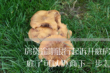 房贷逾期银行起诉开庭 房贷逾期银行起诉开庭了可以协商下一步怎么办