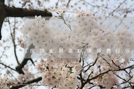 房贷逾期高额律师费投诉(房贷多次逾期发来律师函)