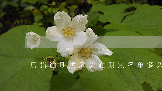 房贷逾期黑，房贷逾期黑名单多久恢复