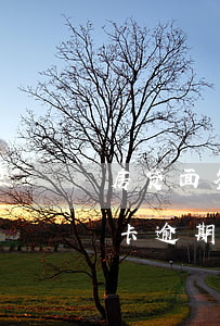 房贷面签过后信用卡逾期6(房贷放款前信用卡逾期了怎么办)