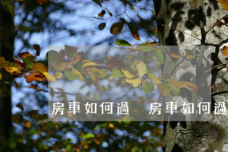 房車如何過戶(房車如何過戶)