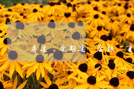房速貸逾期(速貸金融嚴重逾期)