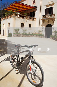 房逾期了怎么办(房子逾期怎么办)