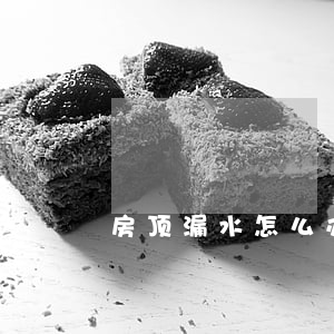 房顶漏水怎么办(下雪房顶漏水怎么办)
