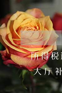 所得税逾期缴费(所得税逾期了一定要去税局大厅补报吗)