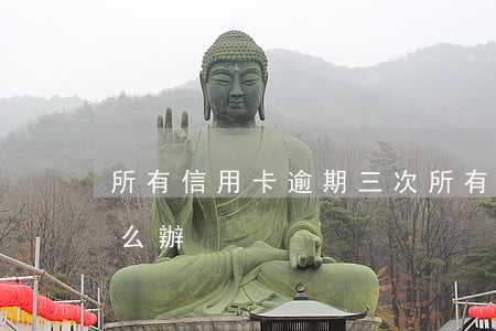 所有信用卡逾期三次 所有信用卡逾期三次怎么辦