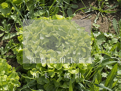 所有信用卡逾期了還款能用嗎(逾期還款的信用卡還能用嗎)