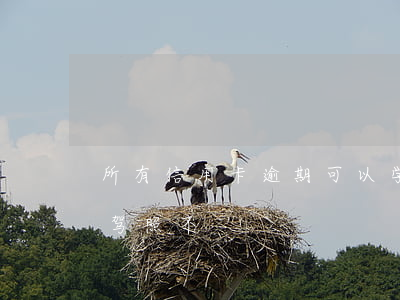所有信用卡逾期可以学驾照吗(严重逾期能考驾照不)
