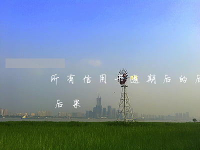 所有信用卡逾期后的后果(信用卡逾期帶來的后果)