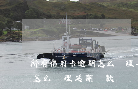 所有信用卡逾期怎么辦理-所有信用卡逾期怎么辦理延期還款