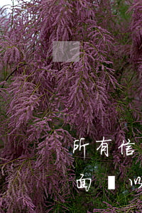 所有信用卡逾期還款后果(信用卡逾期還款將面臨以下后果)