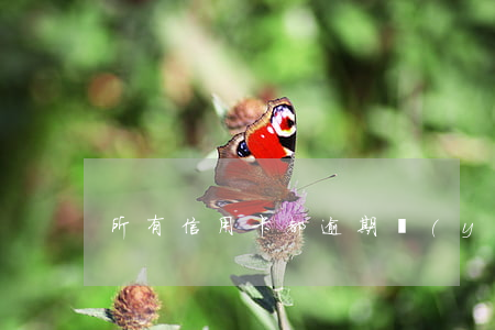 所有信用卡都逾期應(yīng)該怎么還