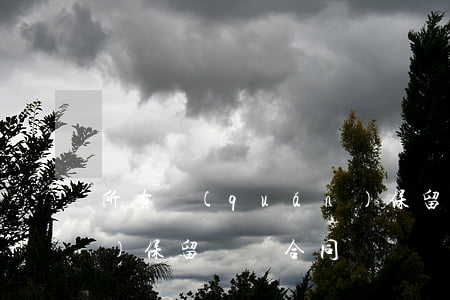 所有權(quán)保留(所有權(quán)保留買賣合同)