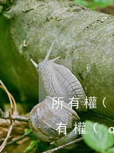 所有權(quán)的權(quán)能(所有權(quán)的權(quán)能包括哪四項)