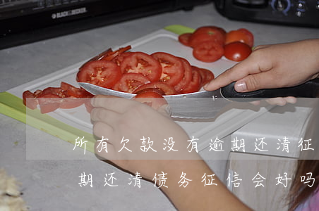 所有欠款没有逾期还清征信会好吗-没有逾期还清债务征信会好吗