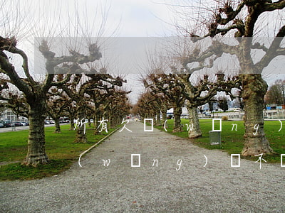 所有欠網(wǎng)貸的人都不還(有欠網(wǎng)貸不還的過(guò)來(lái)人嗎)