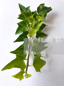 所有的信用卡逾期怎么辦（信用卡逾期銀行要全款）