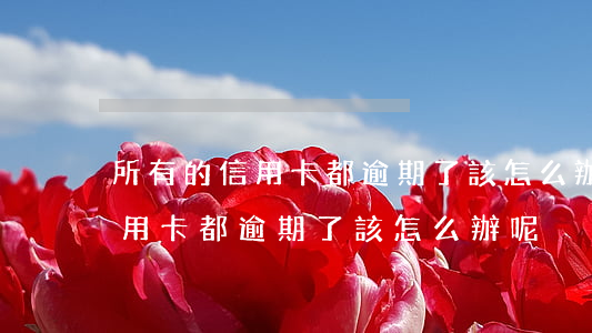 所有的信用卡都逾期了該怎么辦-所有的信用卡都逾期了該怎么辦呢