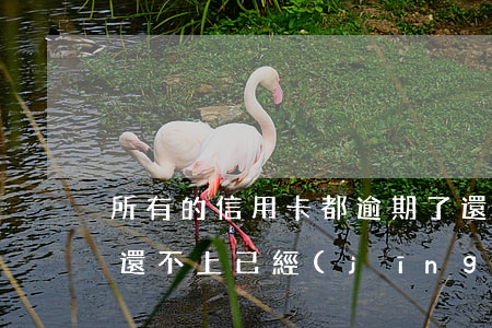 所有的信用卡都逾期了還不上,怎么辦（信用卡還不上已經(jīng)逾期怎么辦）