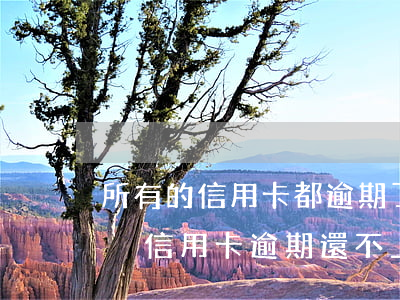 所有的信用卡都逾期了還不上,怎么辦（如何解決信用卡逾期還不上）