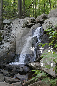所有的網(wǎng)貸不還會怎么樣(網(wǎng)貸如果一直不還會怎么樣)