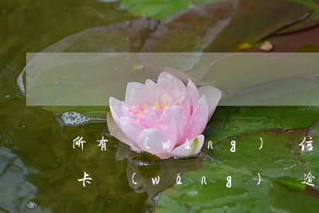 所有網(wǎng)貸信用卡逾期一年(信用卡網(wǎng)貸逾期一年會(huì)怎么樣)