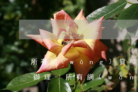 所有網(wǎng)貸和信用卡逾期了怎么辦理-所有網(wǎng)貸和信用卡逾期了怎么辦理分期還款