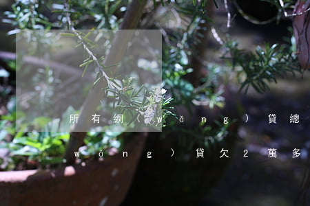 所有網(wǎng)貸總共欠2萬多嗎(網(wǎng)貸欠2萬多算多嗎)