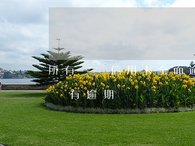 所有網貸信用卡全面逾期(網貸逾期了信用卡沒有逾期)