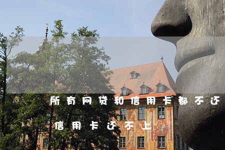所有网贷和信用卡都不还了(欠了一大堆网贷信用卡还不上)