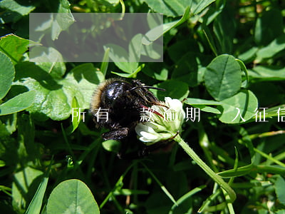 所有貸款逾期納入征信(逾期納入征信怎么辦)